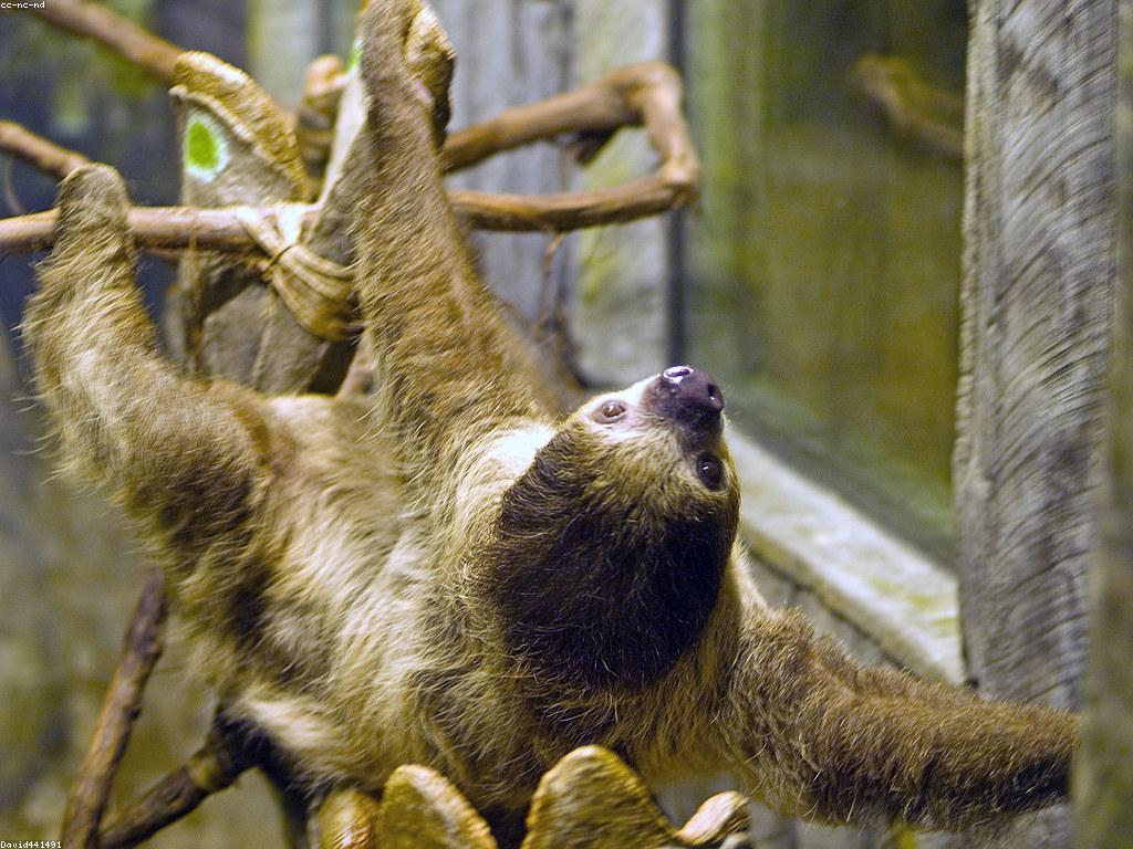 ការពិនិត្យស្លុត: ការប្រារព្ធនៃការស្លុត