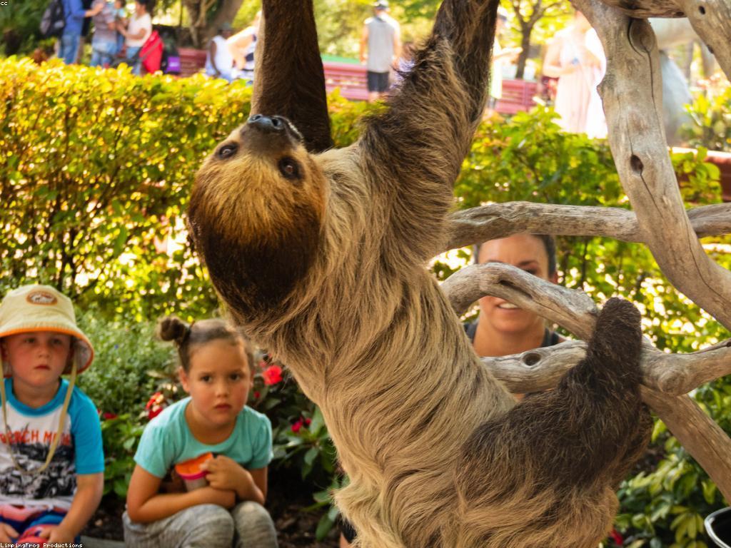 ព័ត៌មានថ្មីៗស្តីពីស្លុត