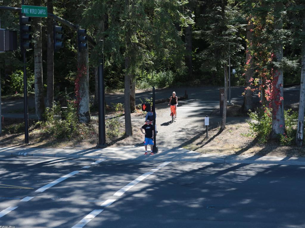 មាគ៌ាសម្រាប់អ្នកចាប់ផ្តើម: ការចាប់ផ្តើមរកស៊ីដោយមានគន្លងនៃភាពជោគជ័យ