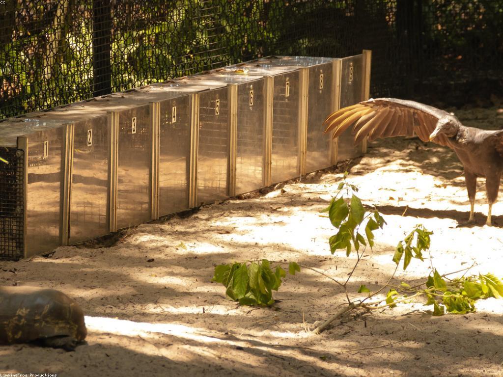 ការពិនិត្យស្លុត: ការប្រារព្ធនៃការស្លុត