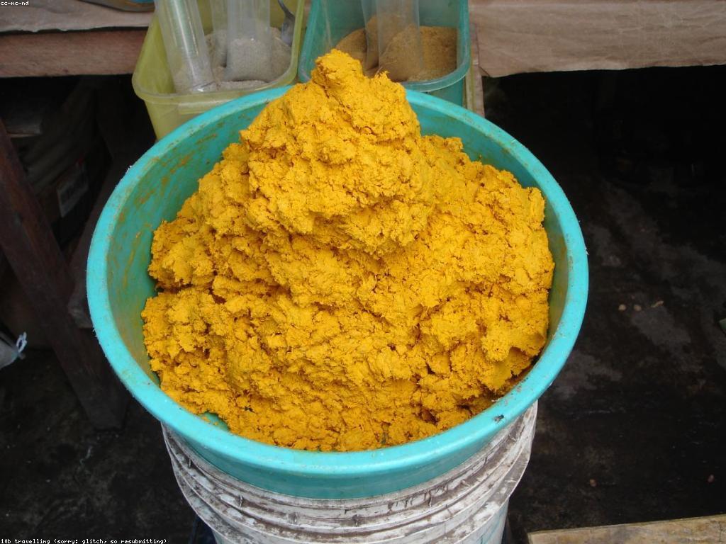 មាគ្រឹតសម្រាប់អ្នកចាប់ផ្តើម